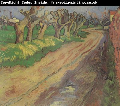 Vincent Van Gogh Pollard Willows (nn04)